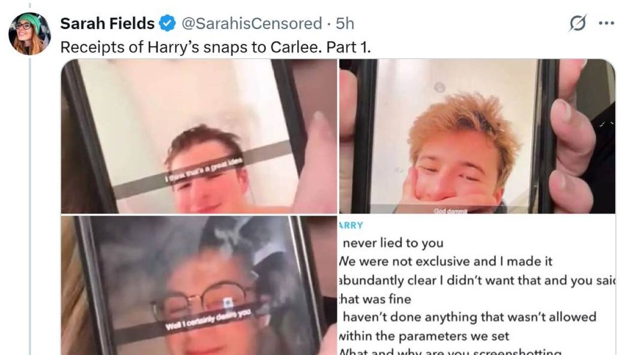 Harry Sisson Breaks Silence On Allegations Of His Predatory Behavior And Just GUESS Who He Blames