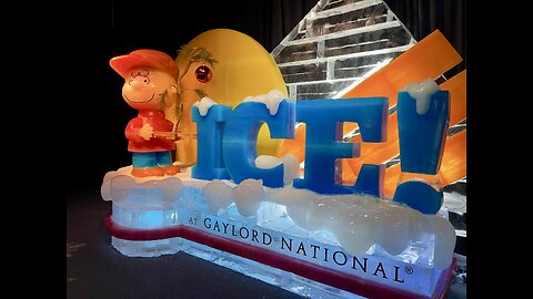 Amazing Charlie Brown Christmas Ice Display, then Sightseeing at National Harbor at Christmastime