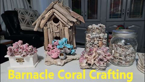 Crafting With Barnacle Coral, Seashells, Beach Finds & Driftwood DIY craft