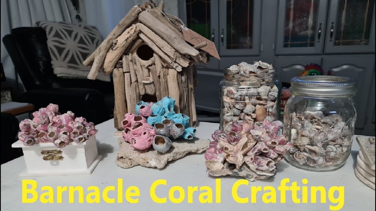 Crafting With Barnacle Coral, Seashells, Beach Finds & Driftwood DIY craft