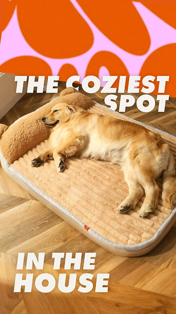 Cozy Heated Dog & Cat Bed Mat