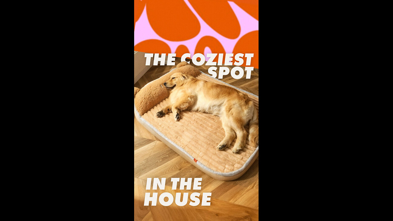 Cozy Heated Dog & Cat Bed Mat