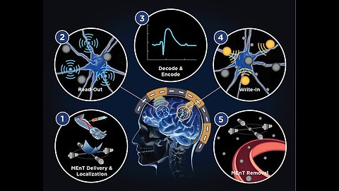 HAR and mental commands for drones