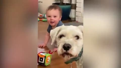 Cutest Baby Funny Videos