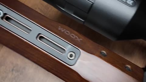 The Surprising Truth About Vigilante Rifle Stocks Nobody Tells You