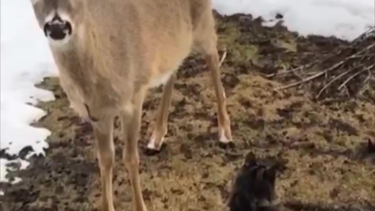 “Let’s be friends” 😊