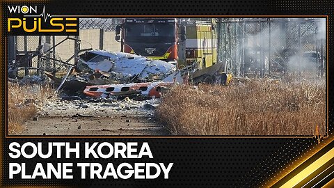 South Korea plane tragedy: 179 dead | World News