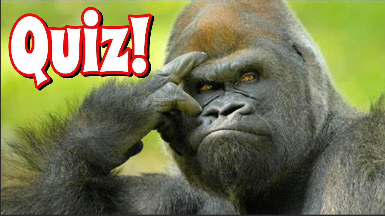 Take The Climate Quiz!: Save Congo's Gorillas