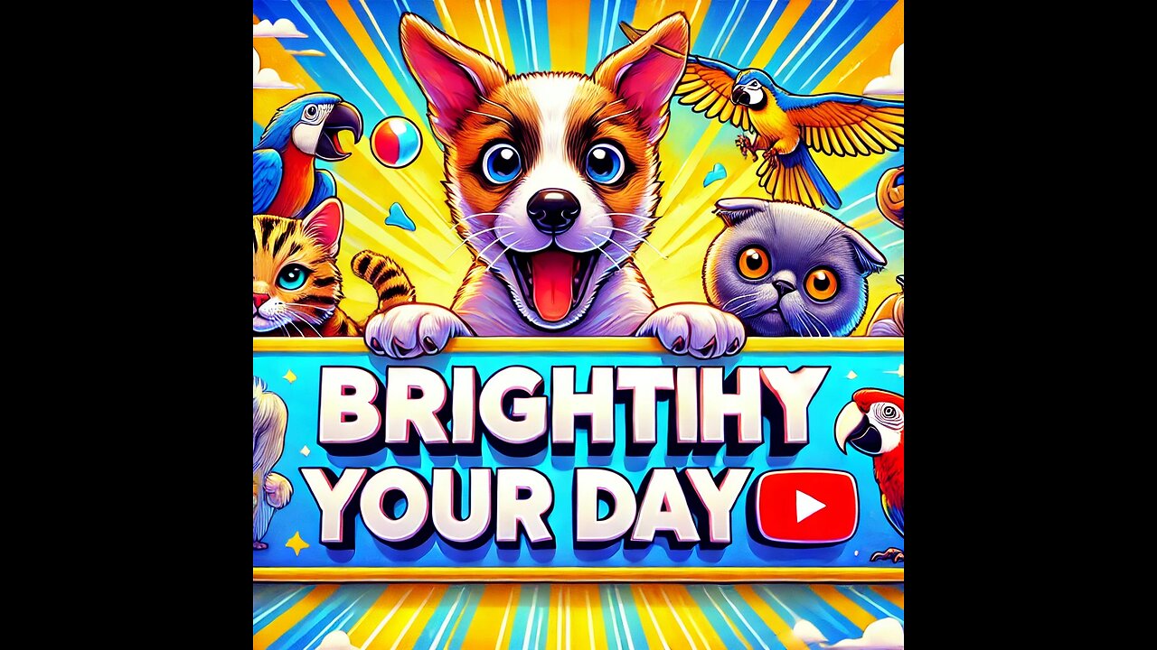 The best way to brighten your day – watch these funny and cute animal moments!