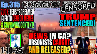 Ep.315 Trump Sentenced! Zuck: Feds “Screamed” At FB To Censor Memes & Covid/Vax Content! DEWs At Play In CA? Arsonists Caught & Released? Newsome Orders Investigation Into Lack of Water Pressure!