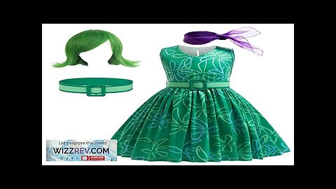 4PCS Movie Disgust Cosplay Costume Kids Cartoon Flower Princess Dress+Belt+Scarf +Wig Girls Review