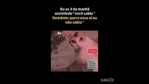 vc sabia