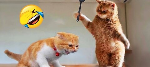 FUNNIEST ANIMALS OF 2025😂FUNNY CAT AND DOG VIDEOS🐱🐶