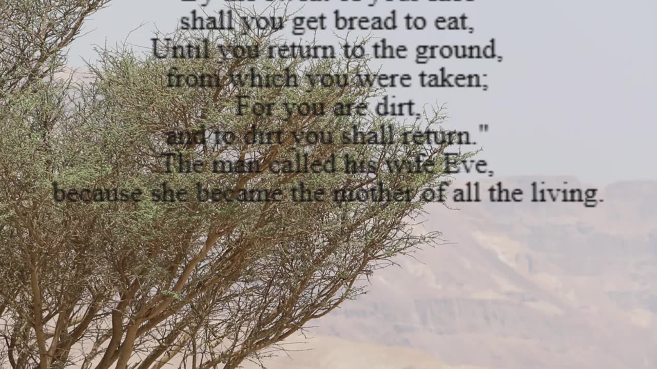 A reading from the book of Genesis, 3:9-24