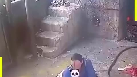 Funny video