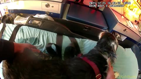 Police bodycam captures moments after a dog was rescued from icy waters in Little Compton