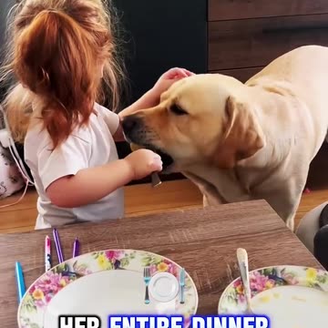 What Happens When You Feed Your DOG ALL Your Food