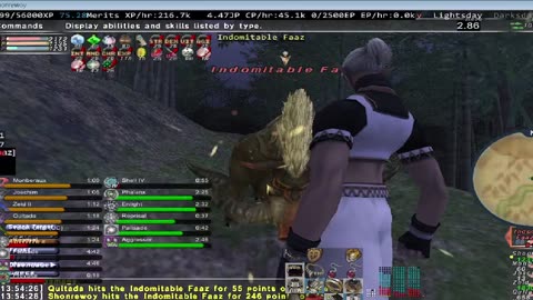 Playing Final Fantasy XI Online