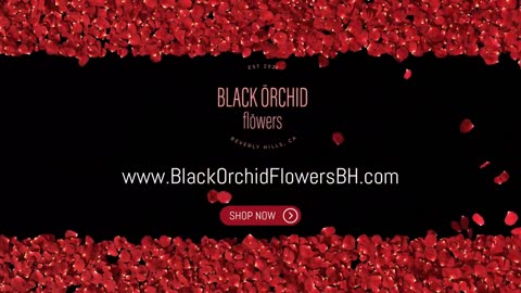 Valentine Roses Delivery​ * Call (310) 422-9654 Black Orchid Flowers
