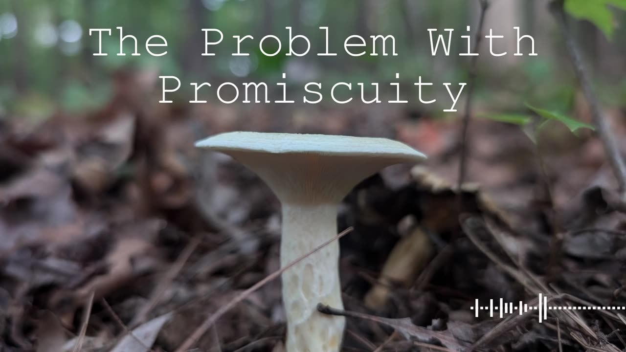 The Problem With Promiscuity