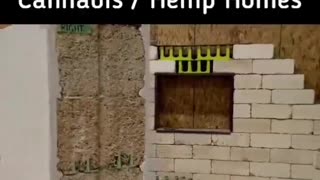 Cannabis bricks to build homes The reason why cannabis is not being used for