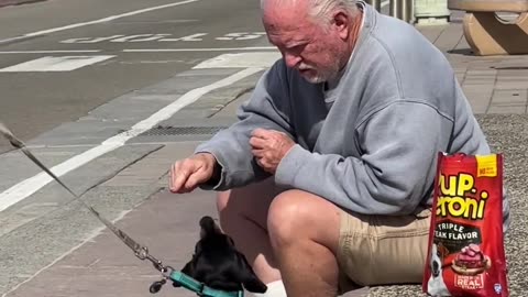 This man sits here with a bag of treats waiting for dogs to show up.