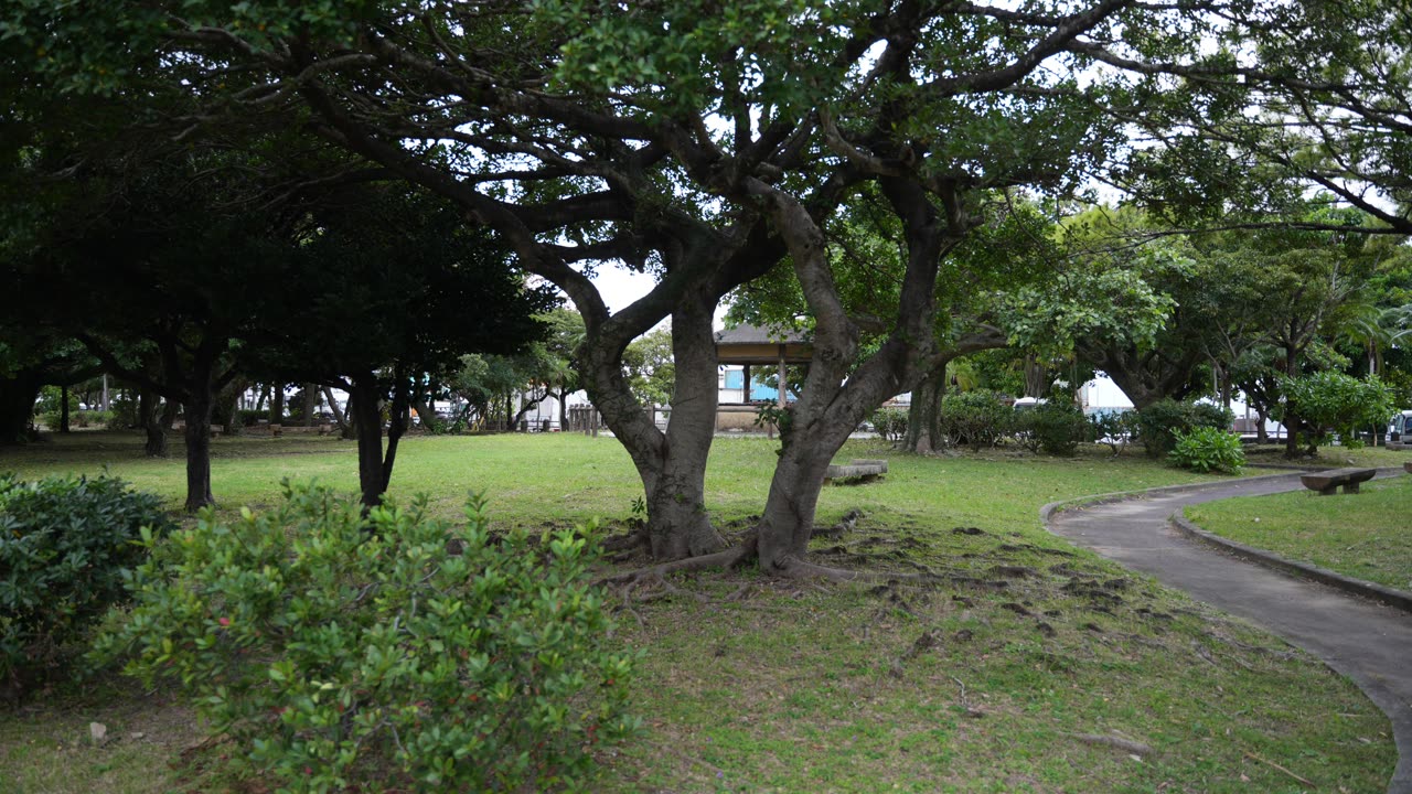 Walked to Fukushuuen Garden (福州園) and Tomari Iyumachi Fish Market (泊いゆまち). Jan. 5, 2025. Okinawa.