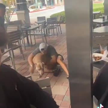 Pitbull attacks a dog sitting on woman's lap at outdoor restaurant