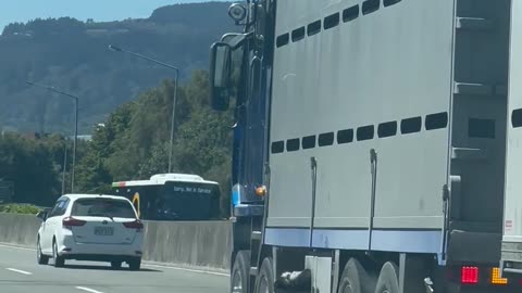 Dog Happily Riding Underneath Semi