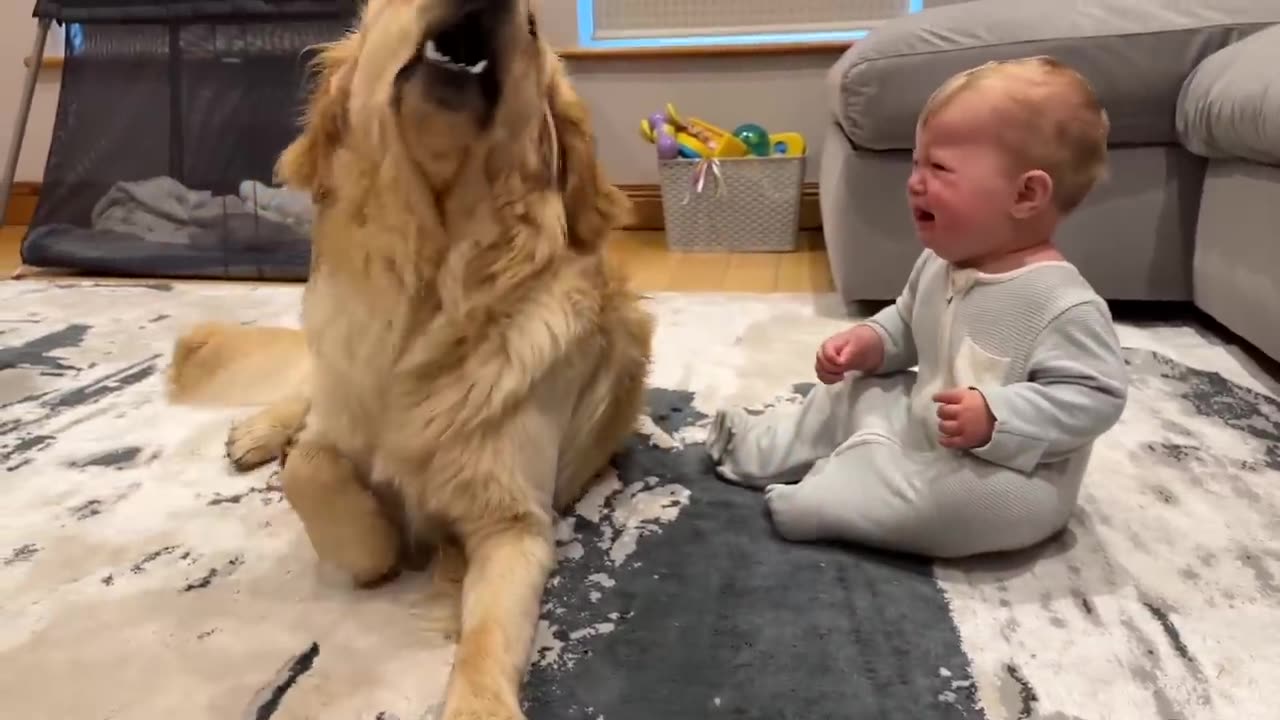 Cat and baby