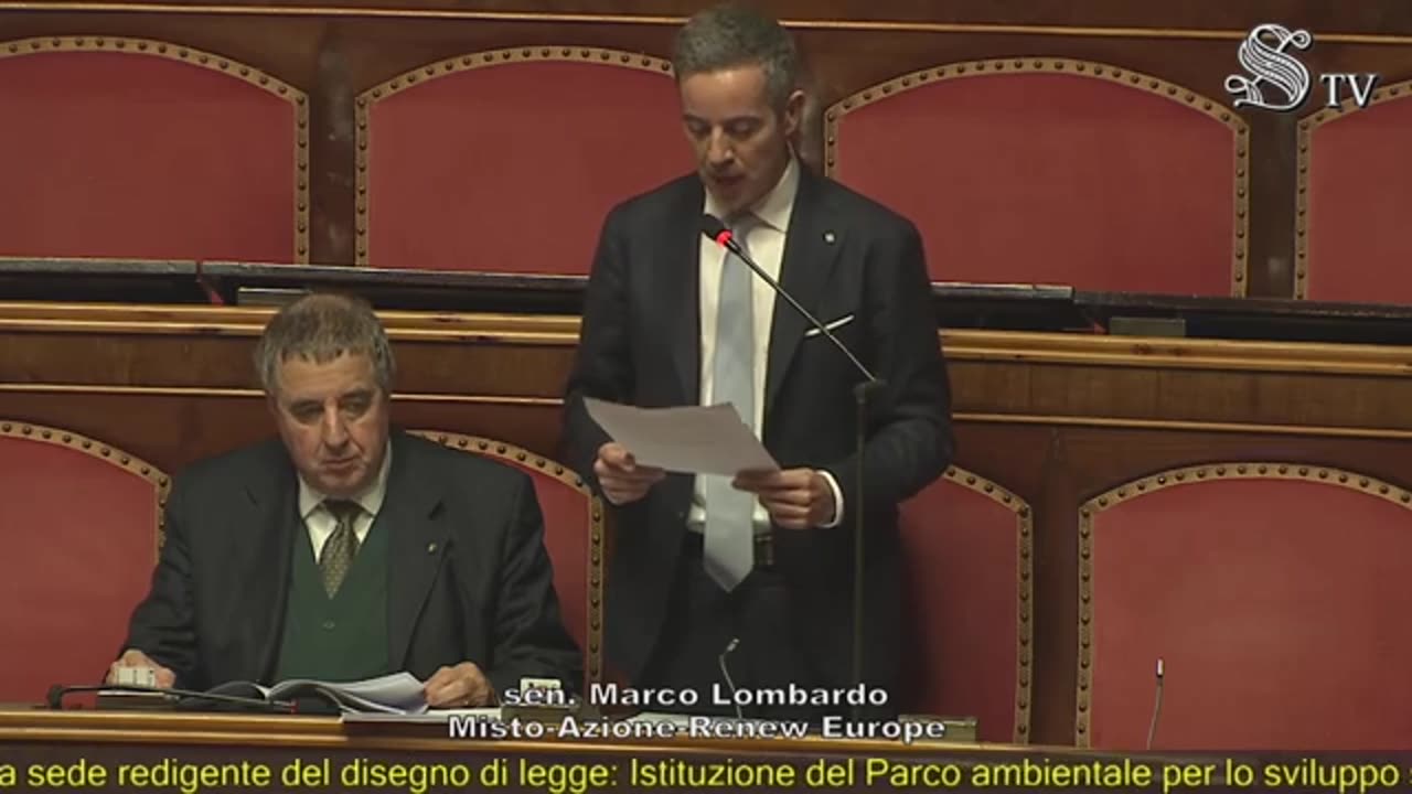 Marco Lombardo - Intervento in Senato (22.01.25)