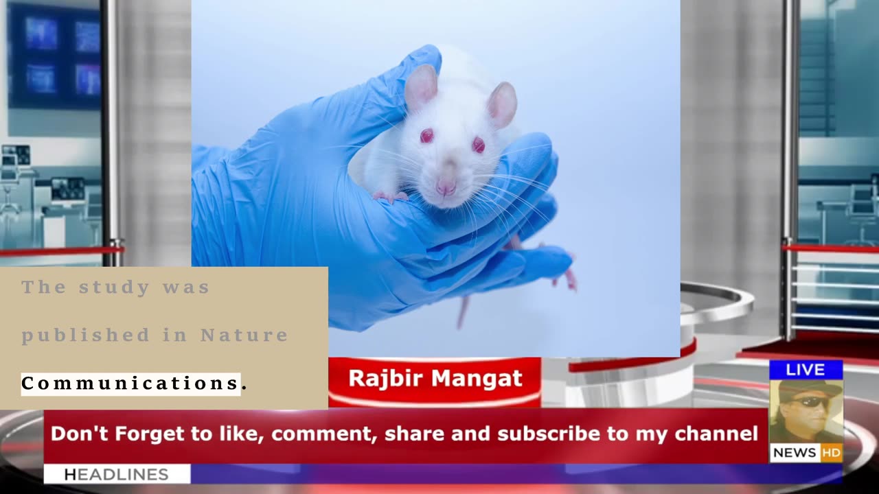 Scientists Put a Human Language Gene Into Mice And Changed Their Voice