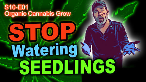 S10 E01 - How To Up-Pot Seedlings And Not Water Them For WEEKS! (Sick As A Dog With Flu Edition)