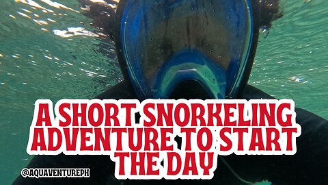 A Short Snorkeling Adventure to Start the Day