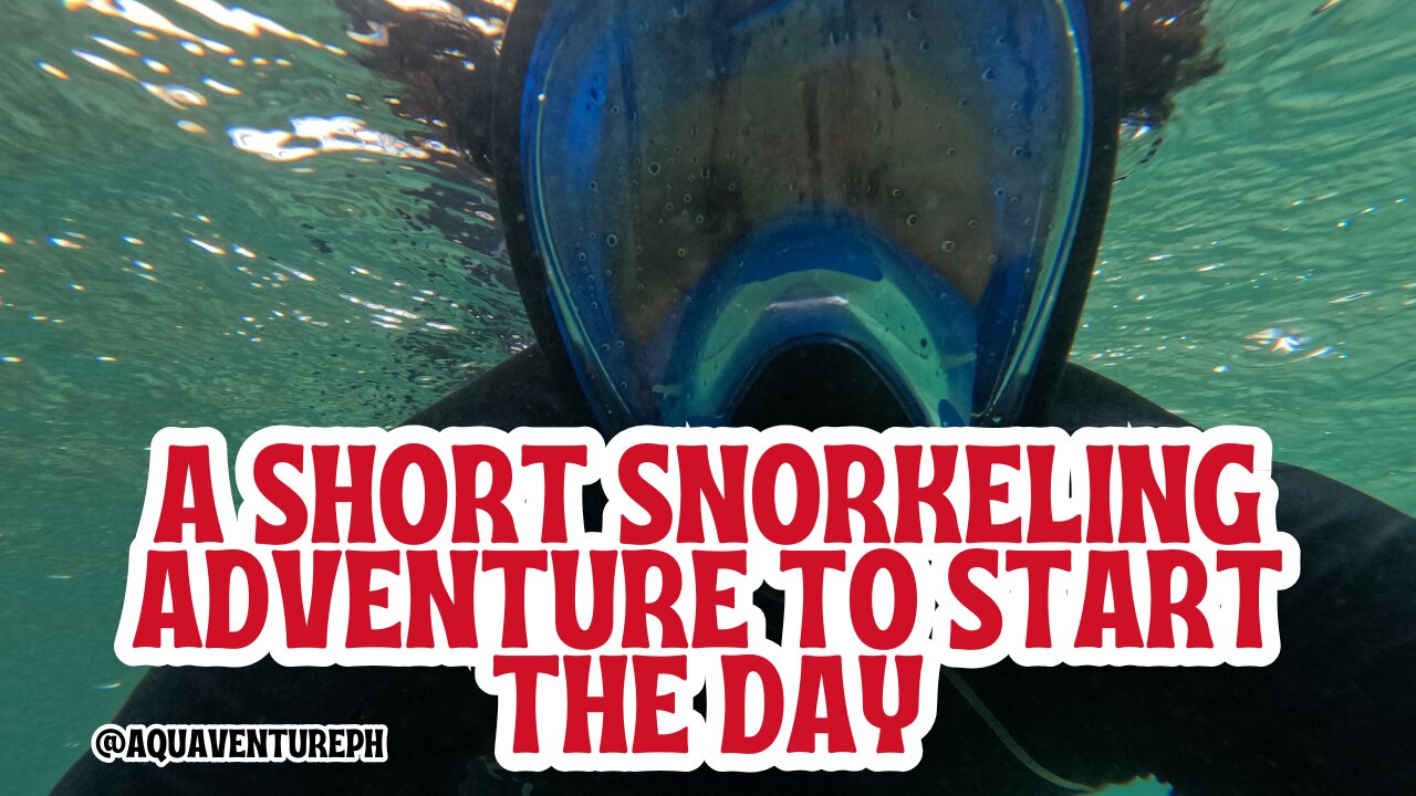 A Short Snorkeling Adventure to Start the Day
