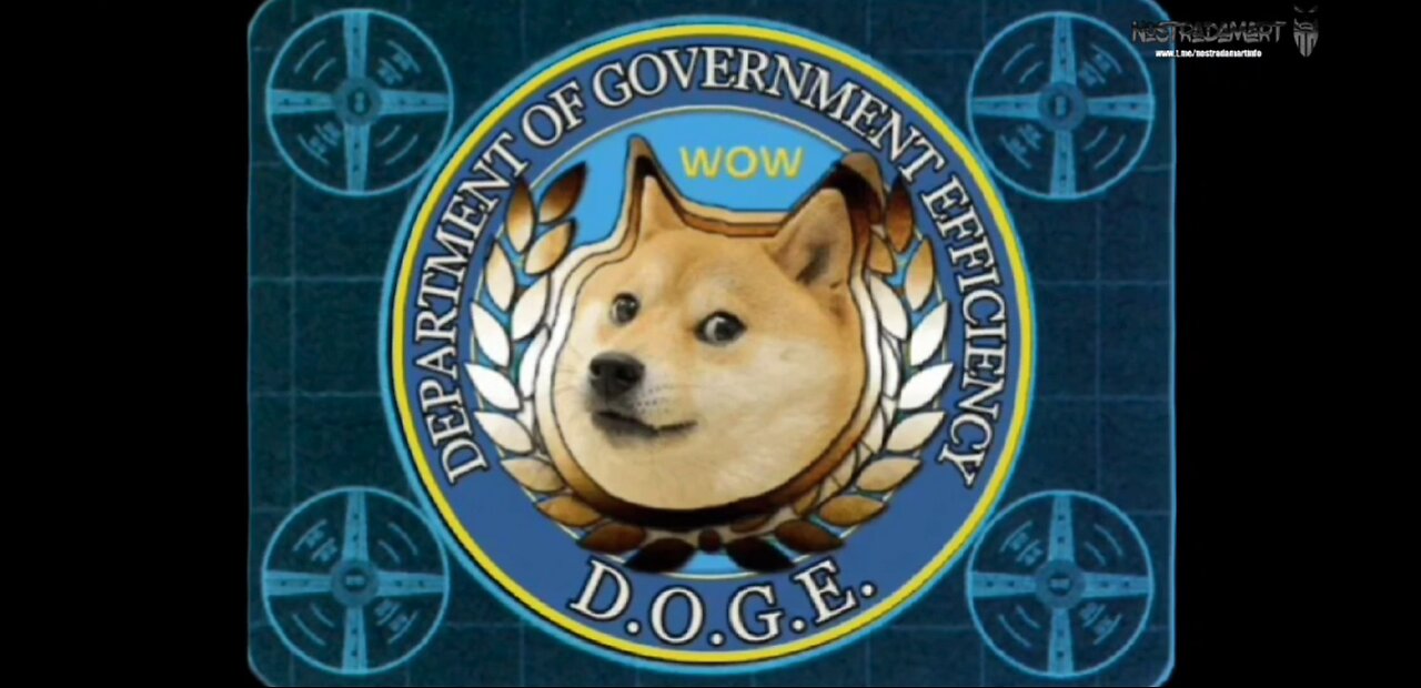 DOGE vs USAID