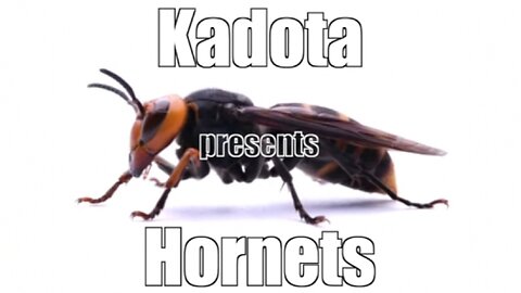 Kadota - Hornets [Official Lyric Video] [UNRELEASED]