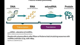 The COVID-19 mRNA vaccines can change the microRNA (miRNA) expression