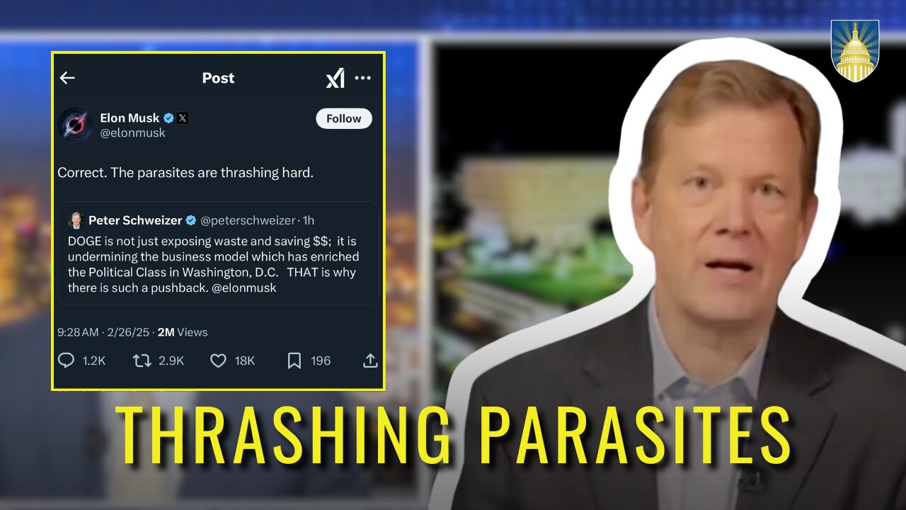 "Parasites are thrashing" // Schweizer on Fox News at Night discusses DOGE, DC media reaction