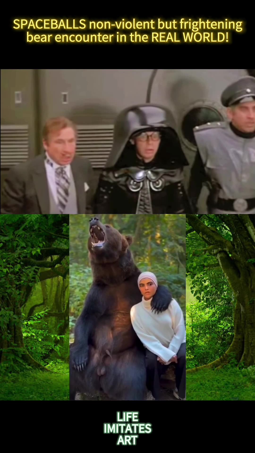 FRIGHTENING BEAR ENCOUNTERS compared to 