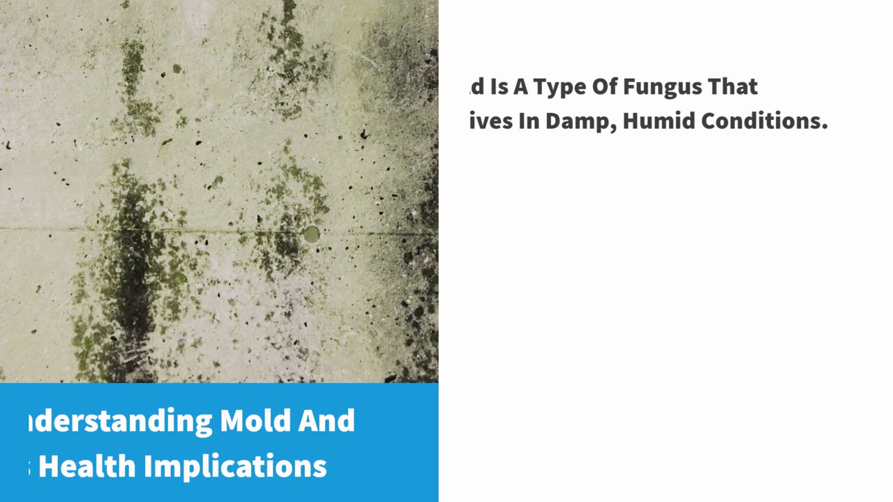 Residential Mold Inspection