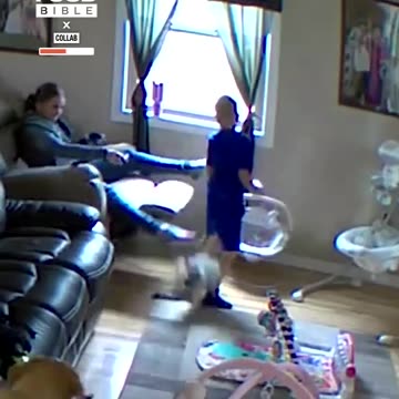 "Kid Steps on Cat's Tail, Cat's Epic Revenge!"