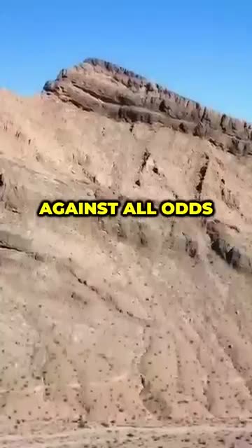 To Build Thriving Nations Everywhere - Proof 16