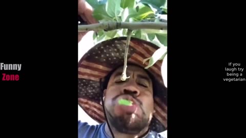 Funny Videos! try not to laugh