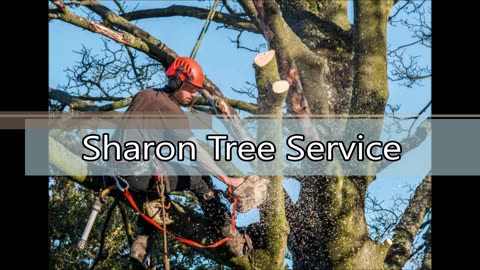 Sharon Tree Service