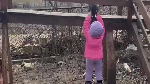 A little girl teaches her puppy how to play slide