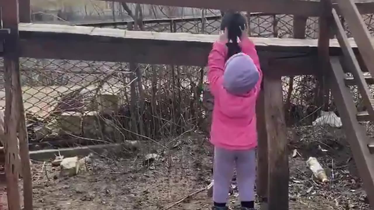 A little girl teaches her puppy how to play slide