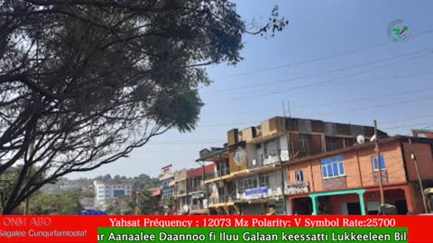 Oduu Galgala ONM-ABO Guraandhala 28-2025 itti dhiyaadhaa!