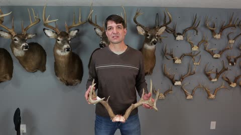 Big Buck down in Iowa - Rut Hunt