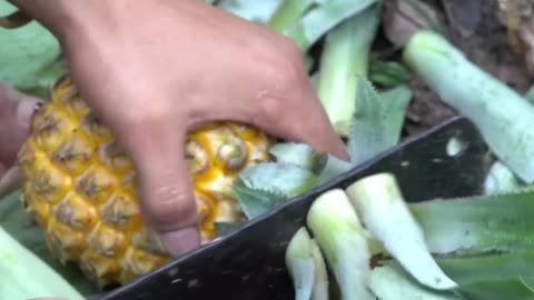 Pineapple Cutting for my children